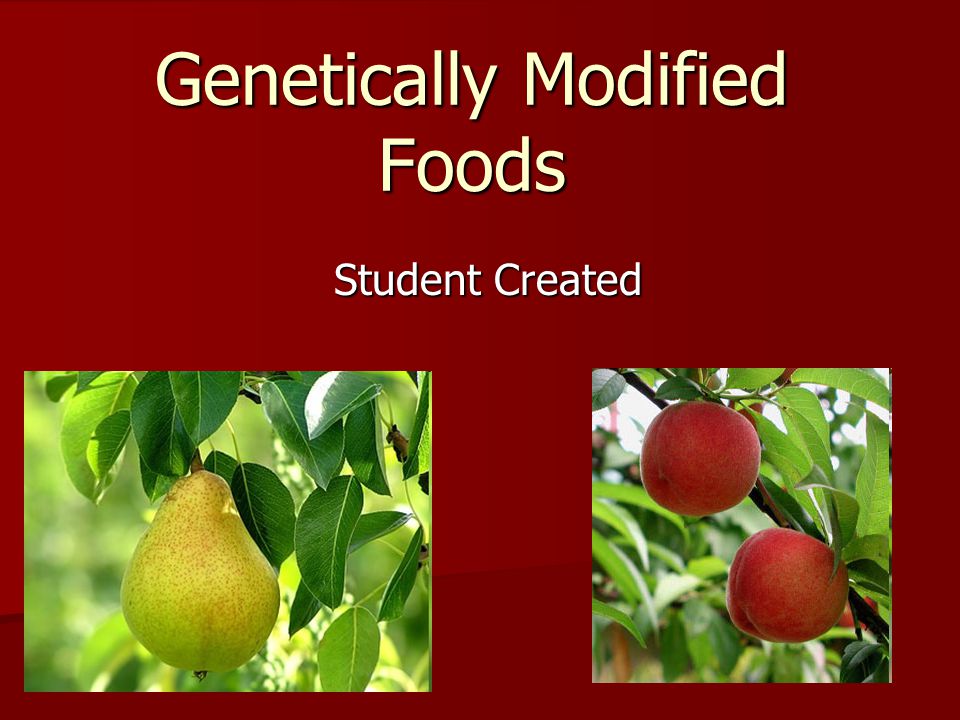 Genetically Modified Foods Student Created