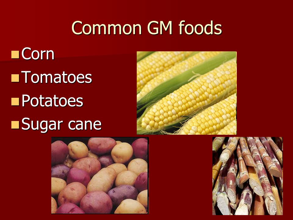 Common GM foods Corn Corn Tomatoes Tomatoes Potatoes Potatoes Sugar cane Sugar cane