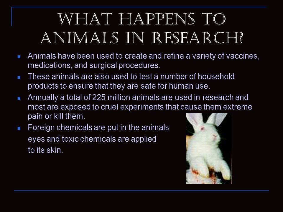 Animal Experimentation Can it be justified?. Background Information  Throughout the years, animals have been used in society to support the  human race. - ppt download