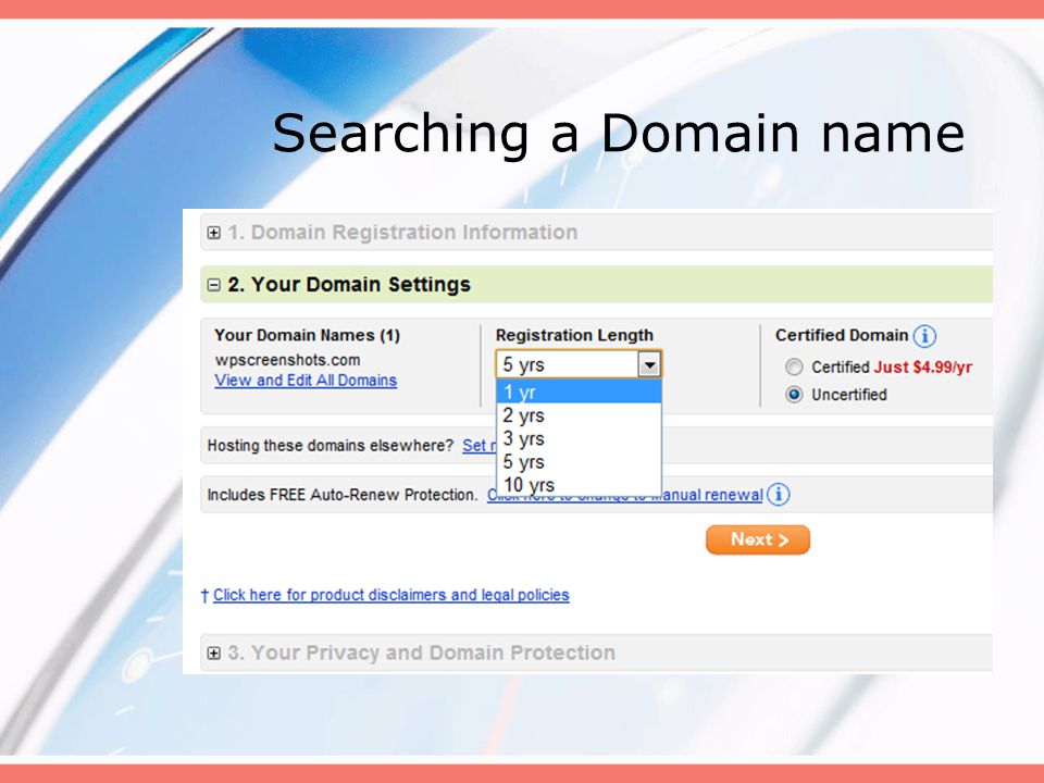 Searching a Domain name