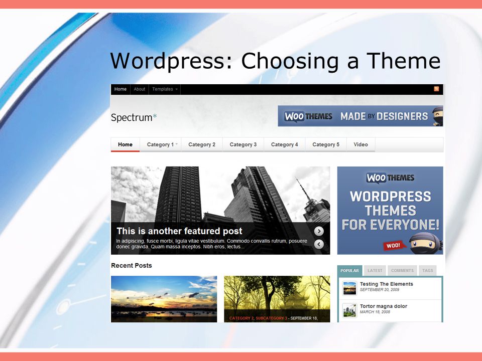 Wordpress: Choosing a Theme