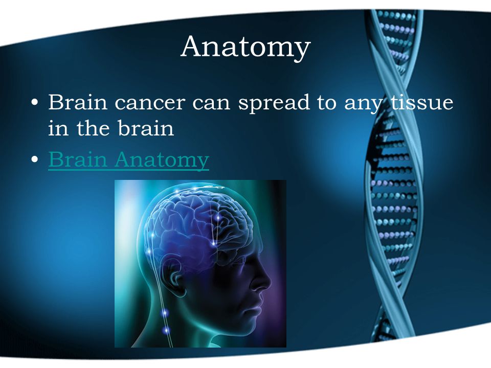 Anatomy Brain cancer can spread to any tissue in the brain Brain Anatomy