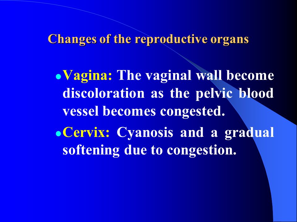 Changes of the reproductive organs Vagina: The vaginal wall become discoloration as the pelvic blood vessel becomes congested.