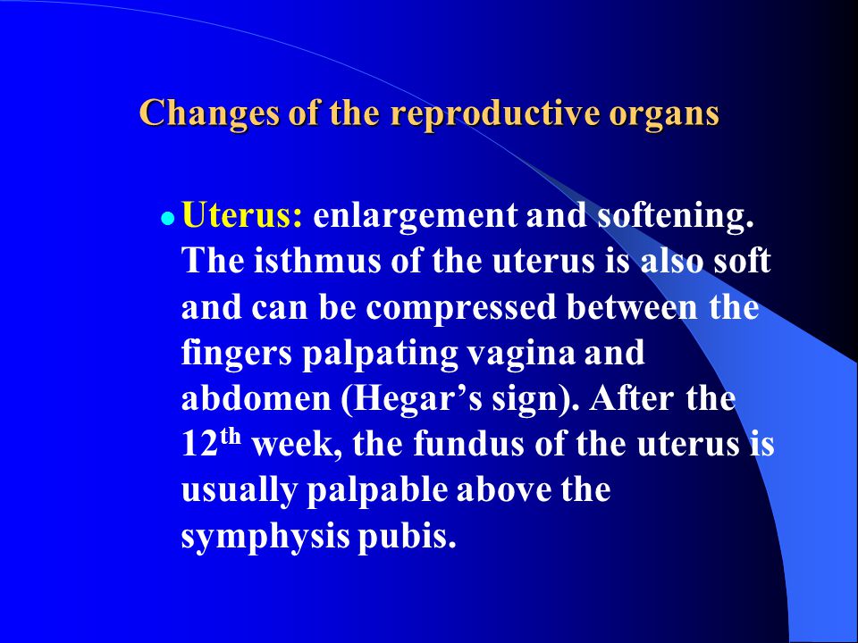 Changes of the reproductive organs Uterus: enlargement and softening.