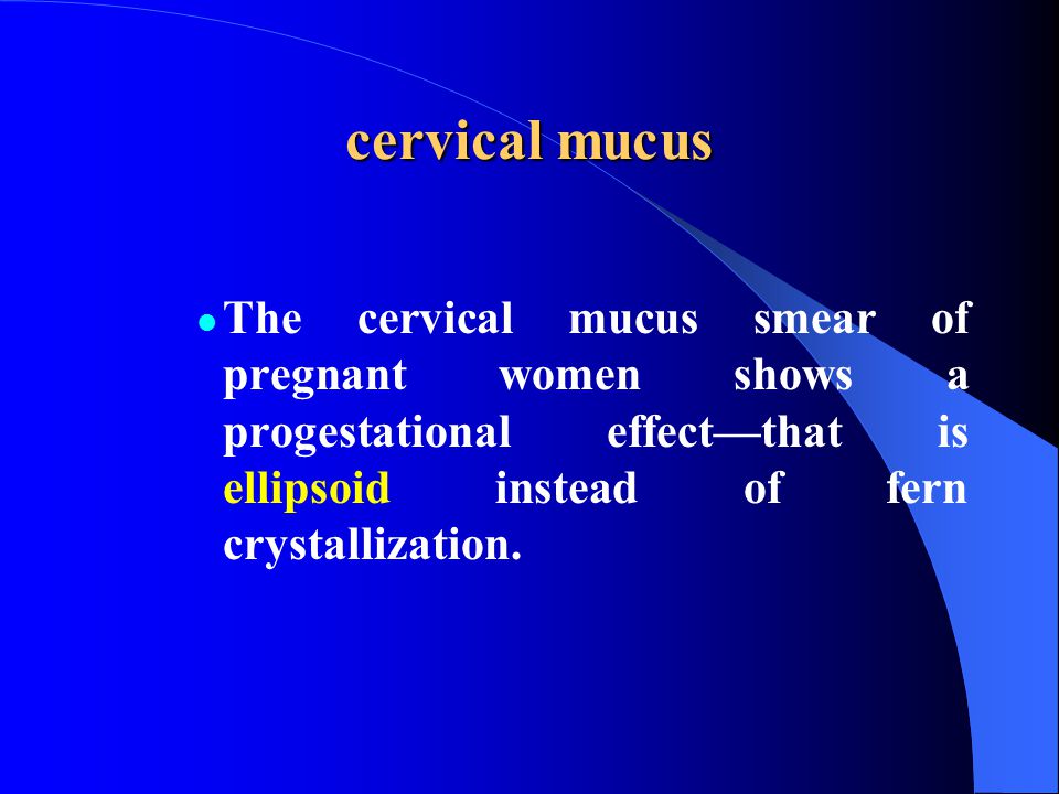 cervical mucus The cervical mucus smear of pregnant women shows a progestational effect—that is ellipsoid instead of fern crystallization.