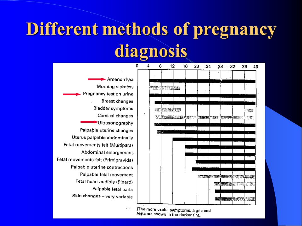 Different methods of pregnancy diagnosis