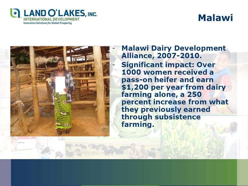 Malawi -Malawi Dairy Development Alliance,