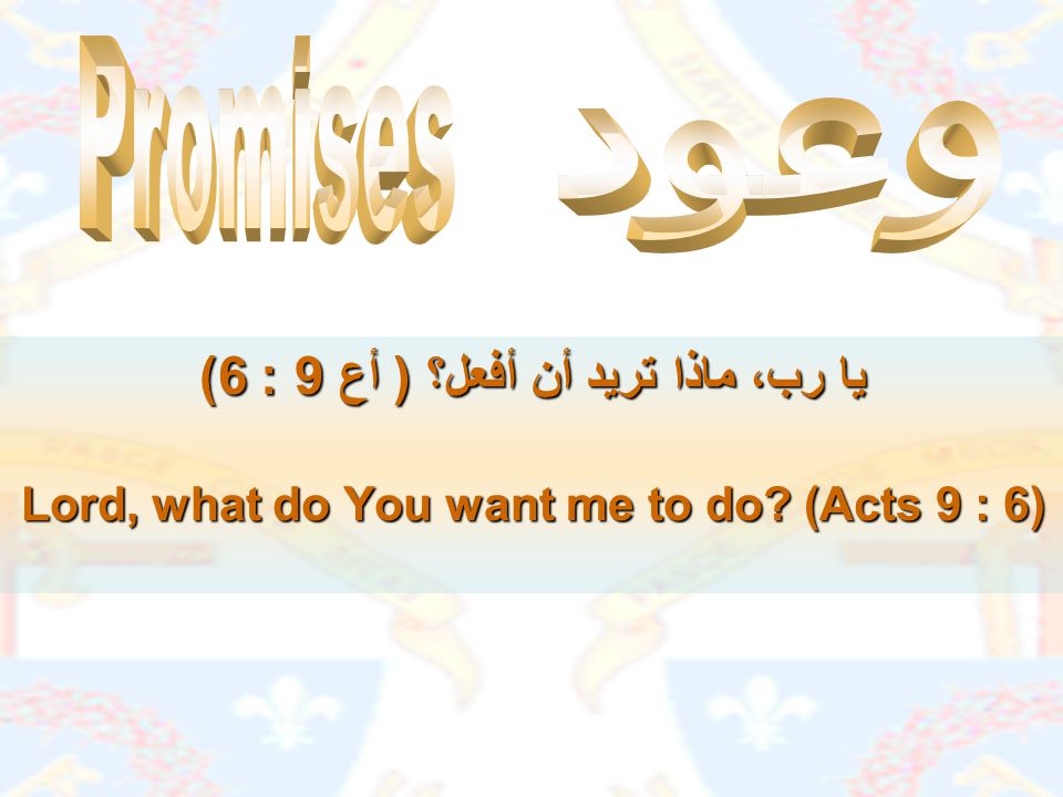 وعودpromises Promises ٳعتذارات Apology ٳعتذارات Apology تشكراتgratitude تشكرات Gratitude Ppt Download