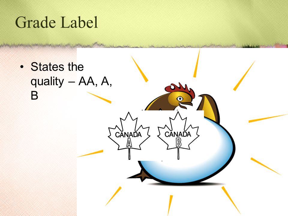 Grade Label States the quality – AA, A, B