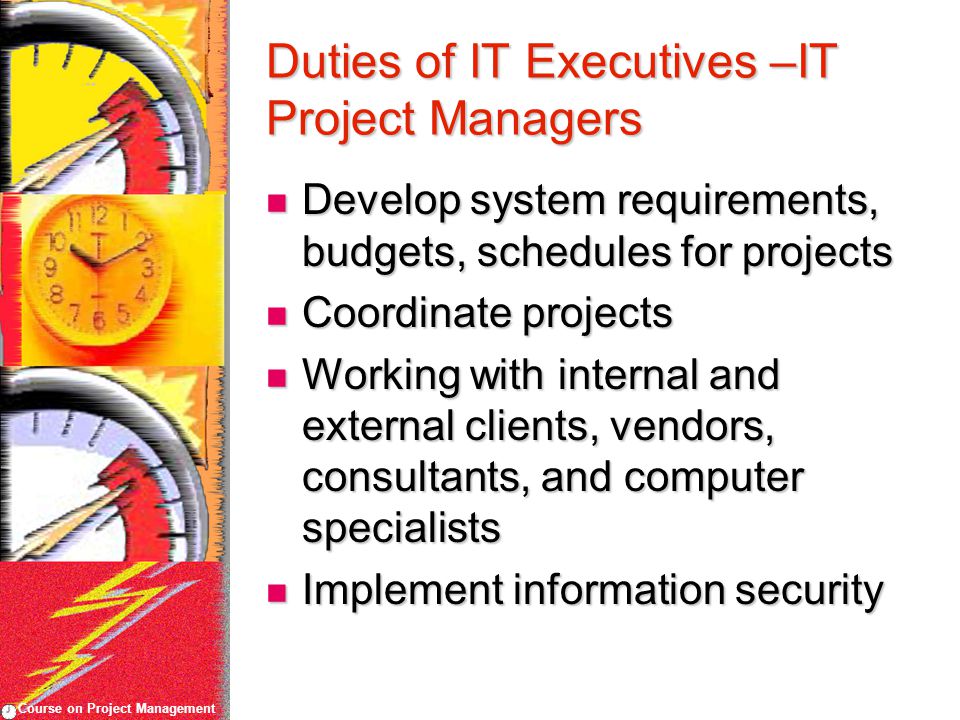 Course on Project Management Duties of IT Executives –IT Project Managers Develop system requirements, budgets, schedules for projects Develop system requirements, budgets, schedules for projects Coordinate projects Coordinate projects Working with internal and external clients, vendors, consultants, and computer specialists Working with internal and external clients, vendors, consultants, and computer specialists Implement information security Implement information security