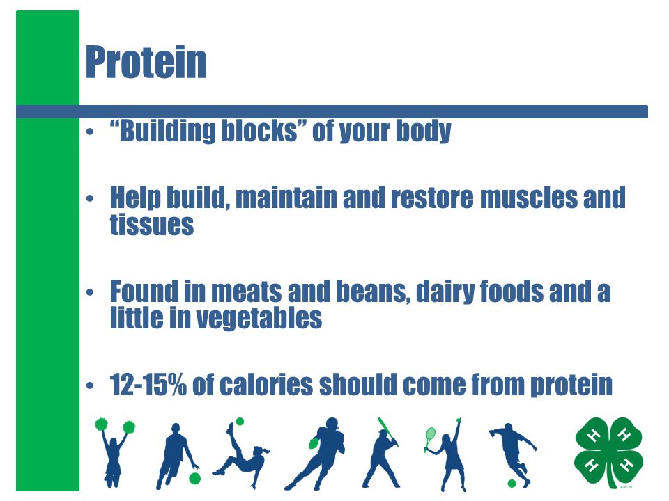 Protein Building blocks of your body Help build, maintain and restore muscles and tissues Found in meats and beans, dairy foods and a little in vegetables 12-15% of calories should come from protein
