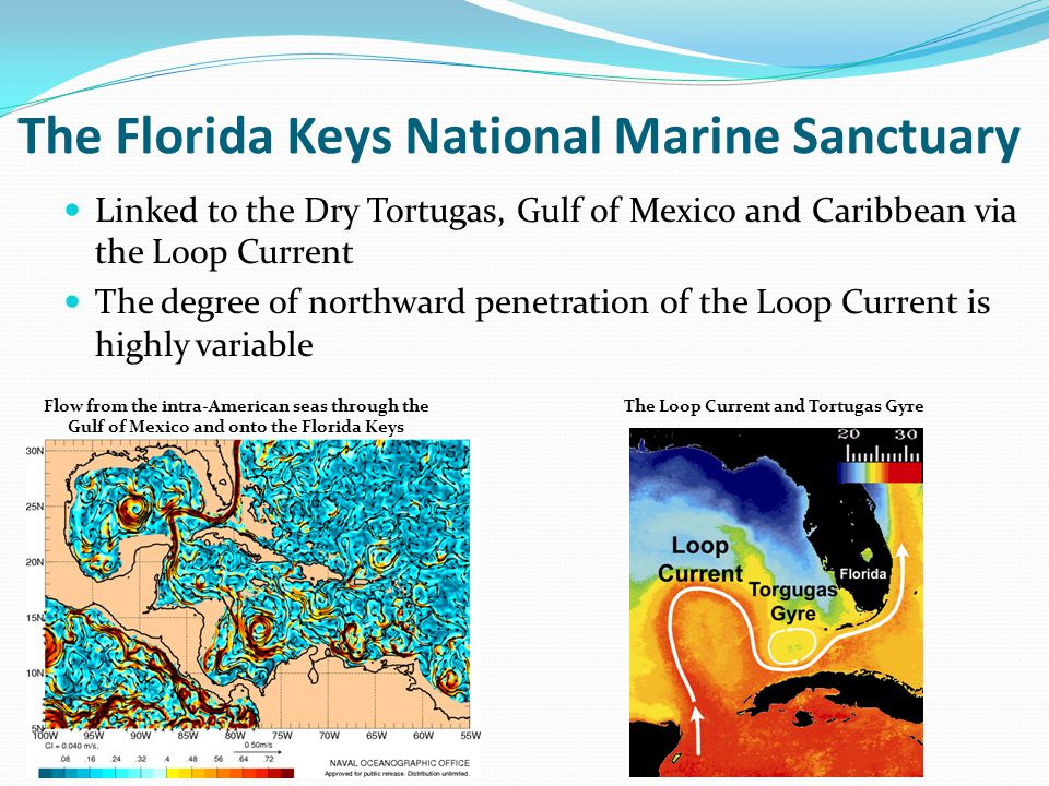 The Florida Keys National Marine Sanctuary Linked to the Dry Tortugas, Gulf of Mexico and Caribbean via the Loop Current The degree of northward penetration of the Loop Current is highly variable Flow from the intra-American seas through the Gulf of Mexico and onto the Florida Keys The Loop Current and Tortugas Gyre