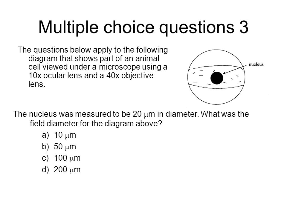 Multiple choice questions 3 The questions below apply to the following diagram that shows part of an animal cell viewed under a microscope using a 10x ocular lens and a 40x objective lens.