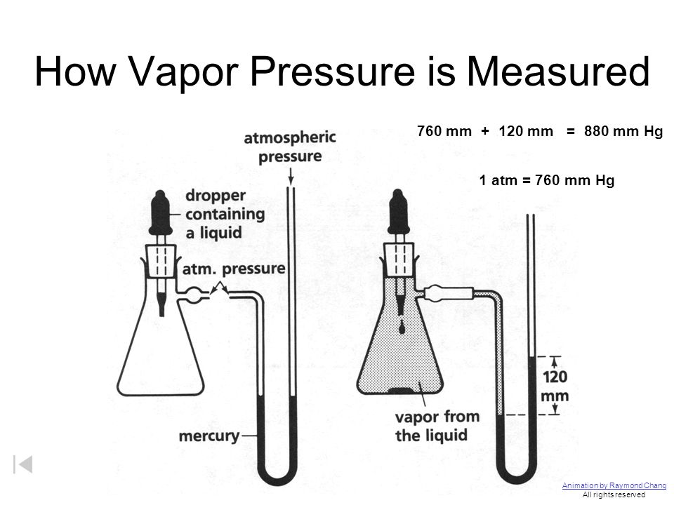 Vapor Pressure Evaporation H 2 O(g) molecules (water vapor) H 2 O(l)  molecules. - ppt download