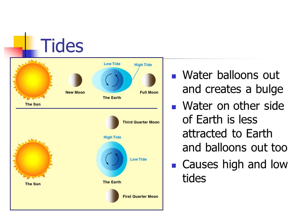 Tides Water balloons out and creates a bulge Water on other side of Earth is less attracted to Earth and balloons out too Causes high and low tides