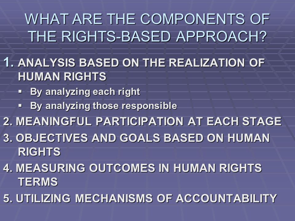 WHAT ARE THE COMPONENTS OF THE RIGHTS-BASED APPROACH.
