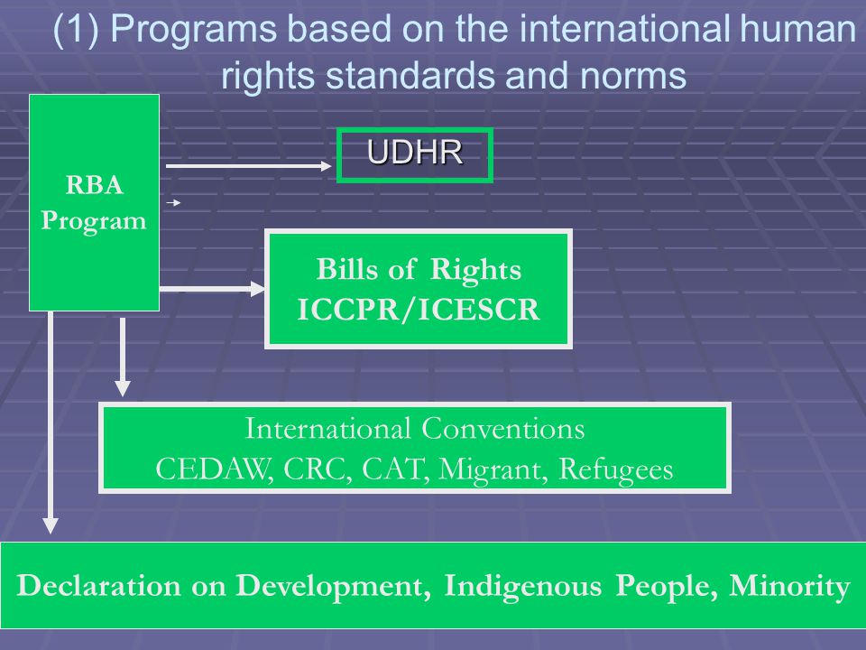 (1) Programs based on the international human rights standards and normsUDHR Bills of Rights ICCPR/ICESCR International Conventions CEDAW, CRC, CAT, Migrant, Refugees Declaration on Development, Indigenous People, Minority RBA Program