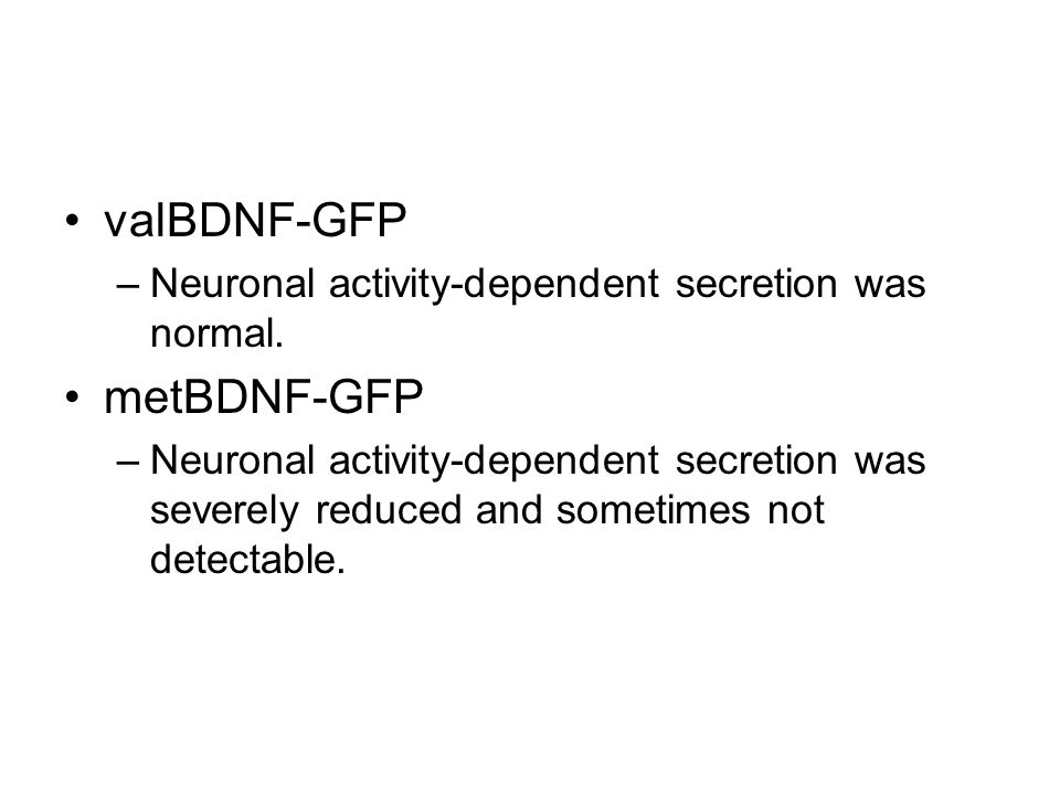 valBDNF-GFP –Neuronal activity-dependent secretion was normal.