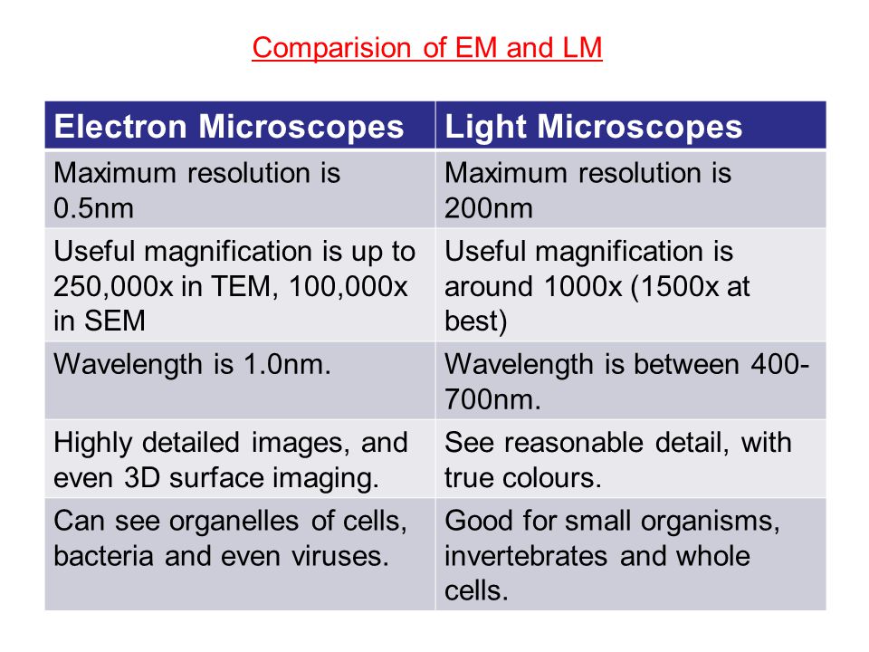 electron microscope differ from light microscopes in that