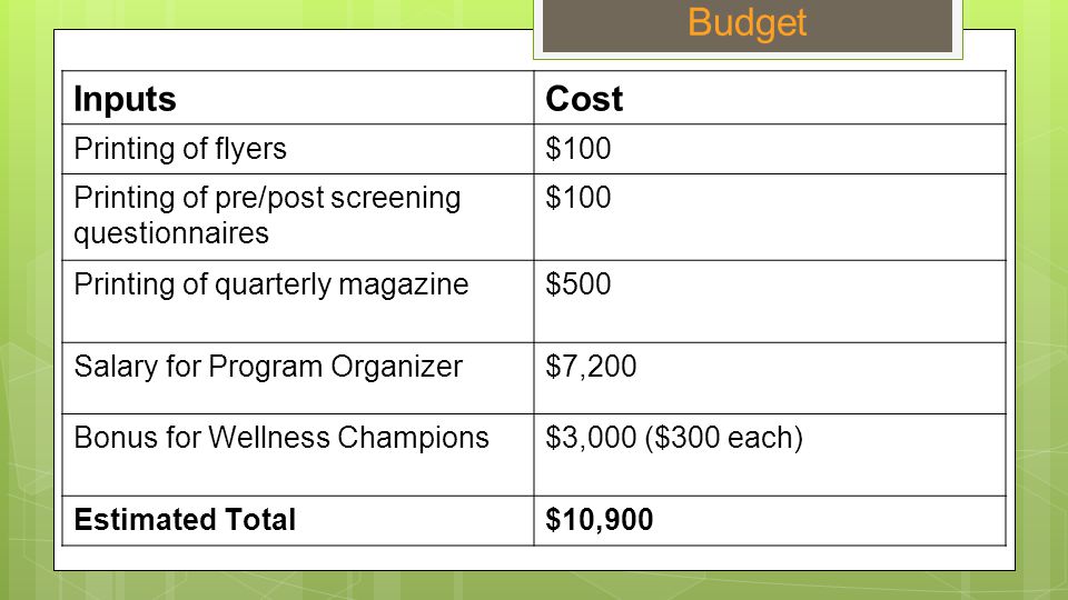 Budget InputsCost Printing of flyers$100 Printing of pre/post screening questionnaires $100 Printing of quarterly magazine$500 Salary for Program Organizer$7,200 Bonus for Wellness Champions$3,000 ($300 each) Estimated Total$10,900