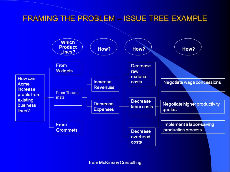 FRAMING THE PROBLEM – ISSUE TREE EXAMPLE How can Acme increase profits from existing business lines.