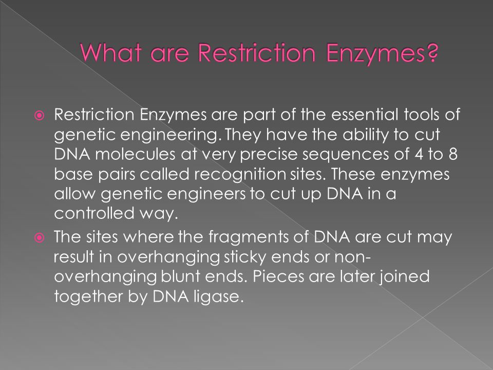  Restriction Enzymes are part of the essential tools of genetic engineering.