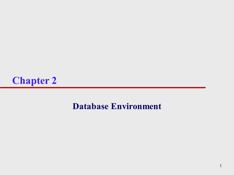 1 Chapter 2 Database Environment