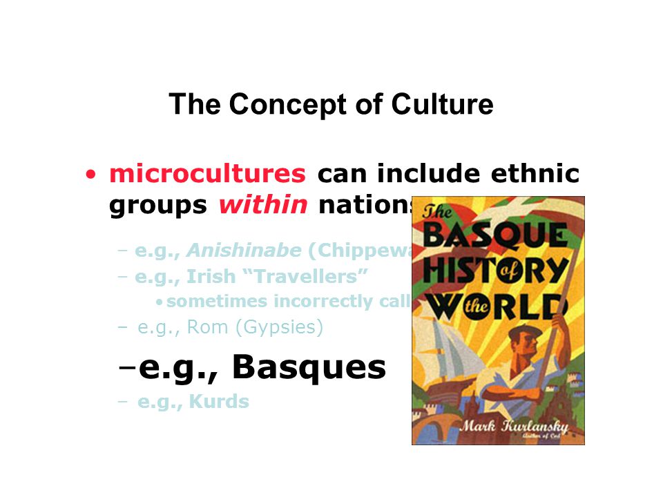 microcultures can include ethnic groups within nations – e.g., Anishinabe (Chippewa; Ojibwa) – e.g., Irish Travellers sometimes incorrectly called Gypsies –e.g., Rom (Gypsies) –e.g., Basques –e.g., Kurds The Concept of Culture
