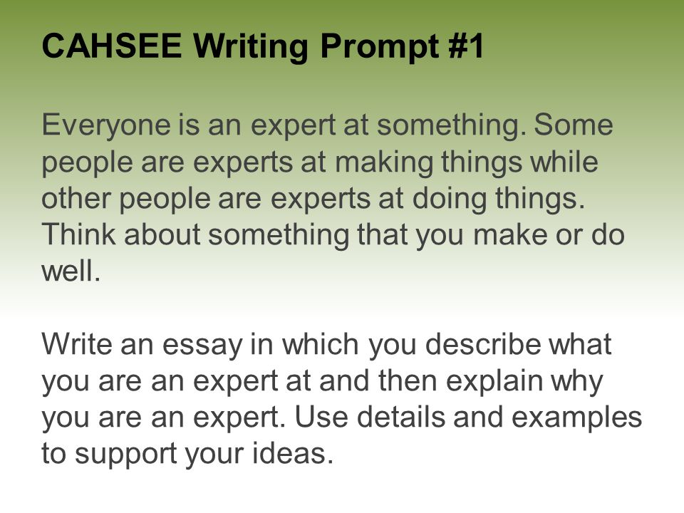 CAHSEE Writing Prompt #1 Everyone is an expert at something.