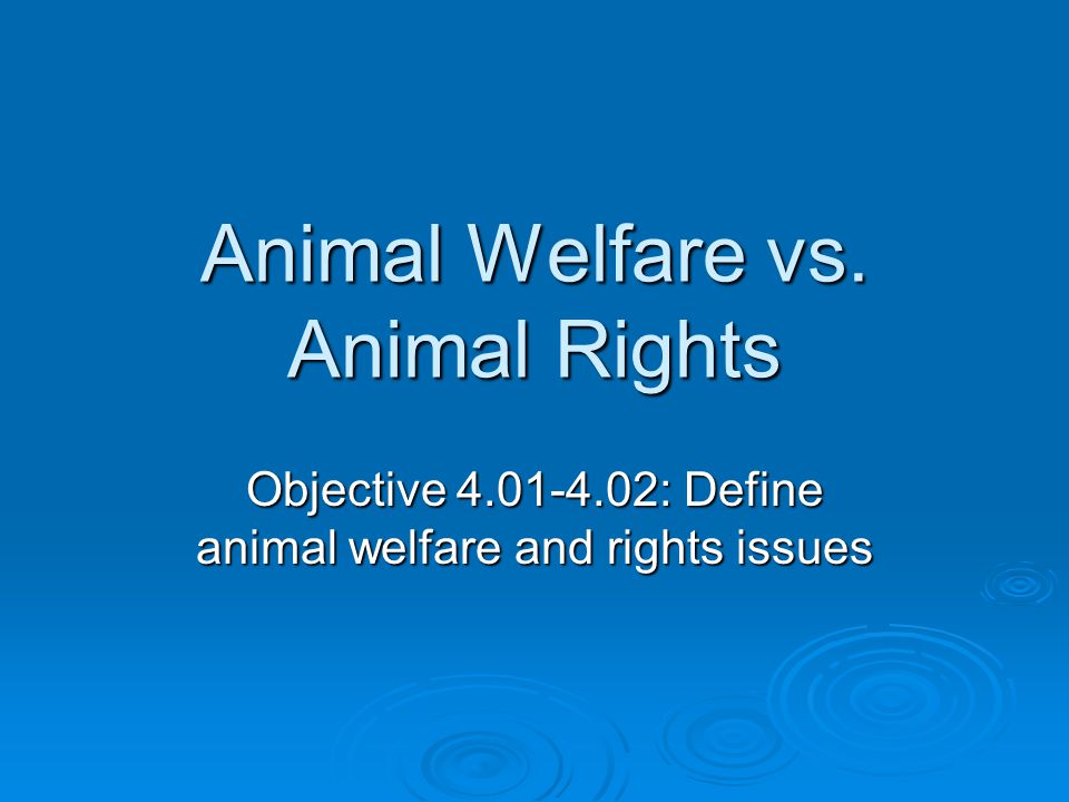 Animal Welfare vs. Animal Rights Objective : Define animal welfare and rights issues