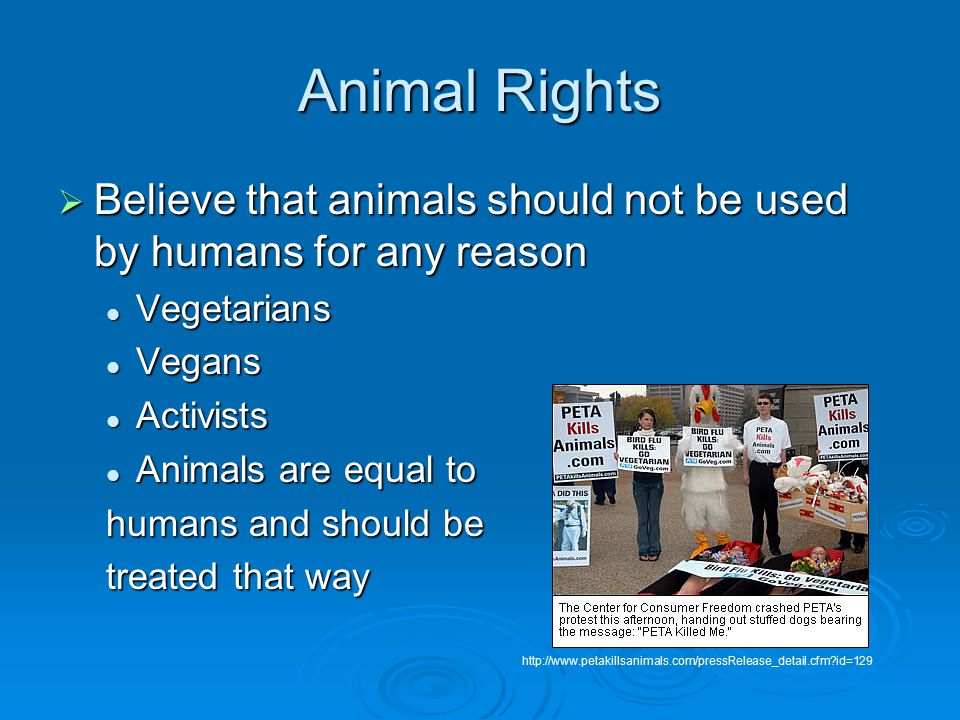 Animal Rights  Believe that animals should not be used by humans for any reason Vegetarians Vegetarians Vegans Vegans Activists Activists Animals are equal to Animals are equal to humans and should be treated that way   id=129