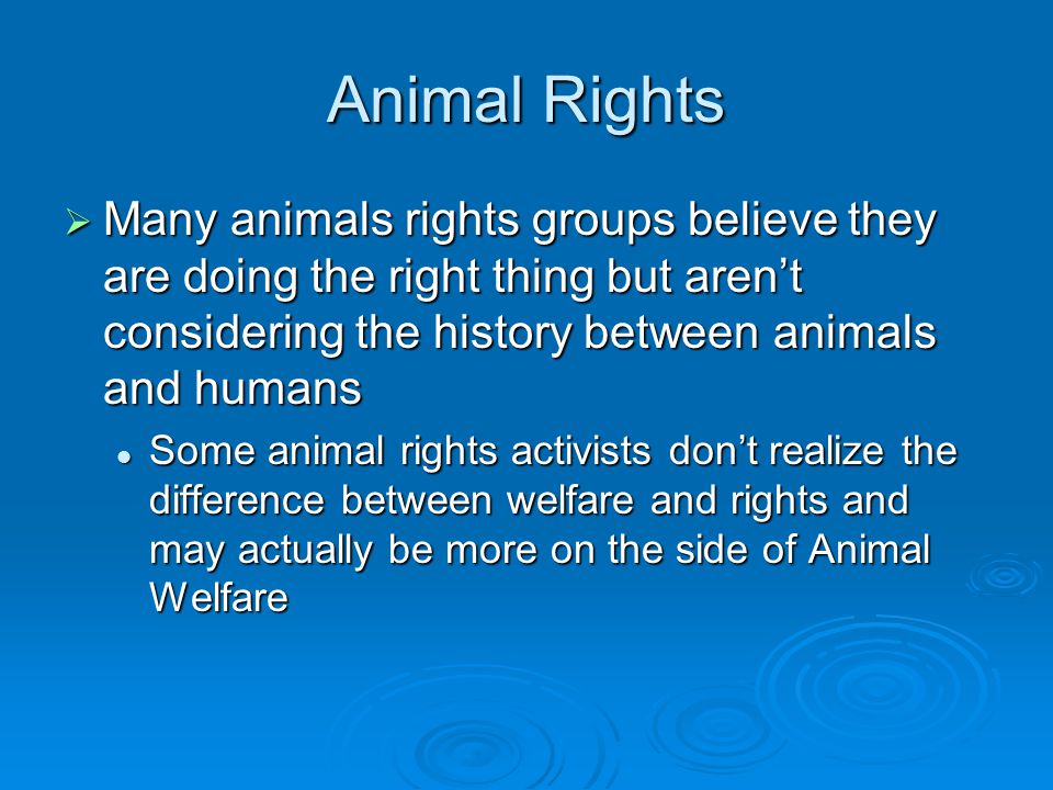 Animal Rights  Many animals rights groups believe they are doing the right thing but aren’t considering the history between animals and humans Some animal rights activists don’t realize the difference between welfare and rights and may actually be more on the side of Animal Welfare Some animal rights activists don’t realize the difference between welfare and rights and may actually be more on the side of Animal Welfare