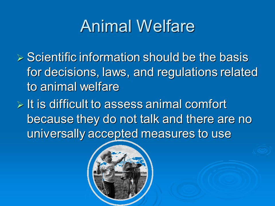 Animal Welfare  Scientific information should be the basis for decisions, laws, and regulations related to animal welfare  It is difficult to assess animal comfort because they do not talk and there are no universally accepted measures to use