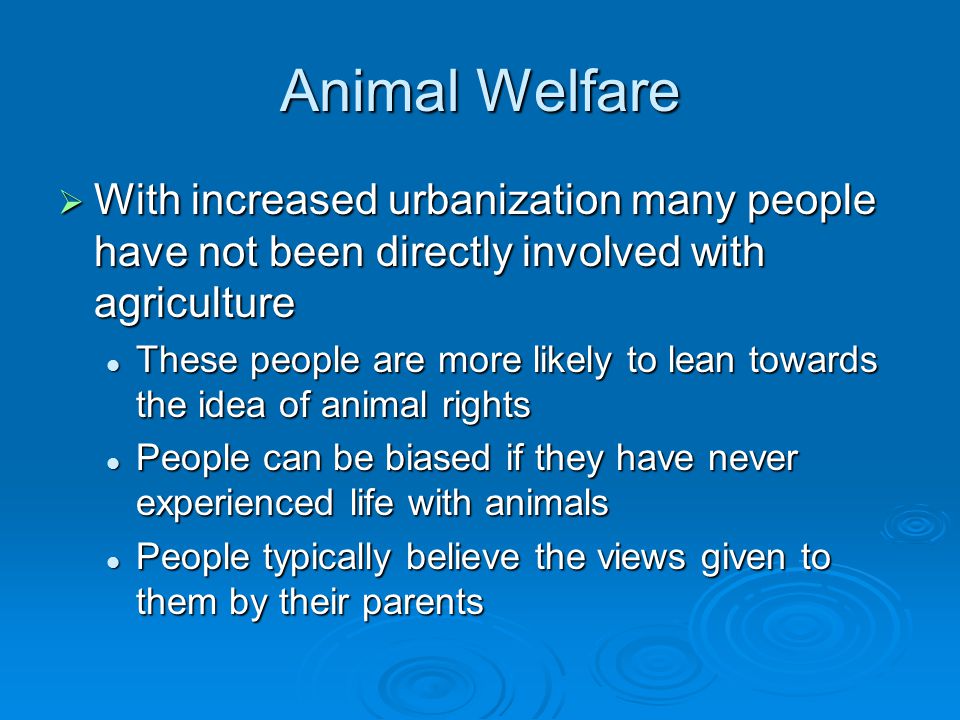 Animal Welfare  With increased urbanization many people have not been directly involved with agriculture These people are more likely to lean towards the idea of animal rights These people are more likely to lean towards the idea of animal rights People can be biased if they have never experienced life with animals People can be biased if they have never experienced life with animals People typically believe the views given to them by their parents People typically believe the views given to them by their parents