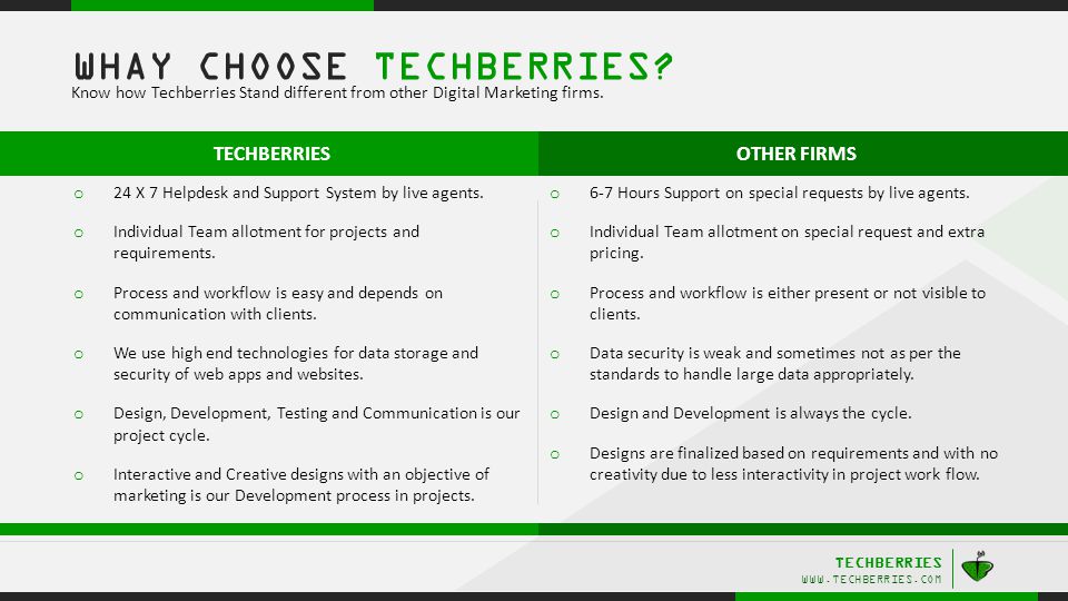 TECHBERRIES   o 6-7 Hours Support on special requests by live agents.