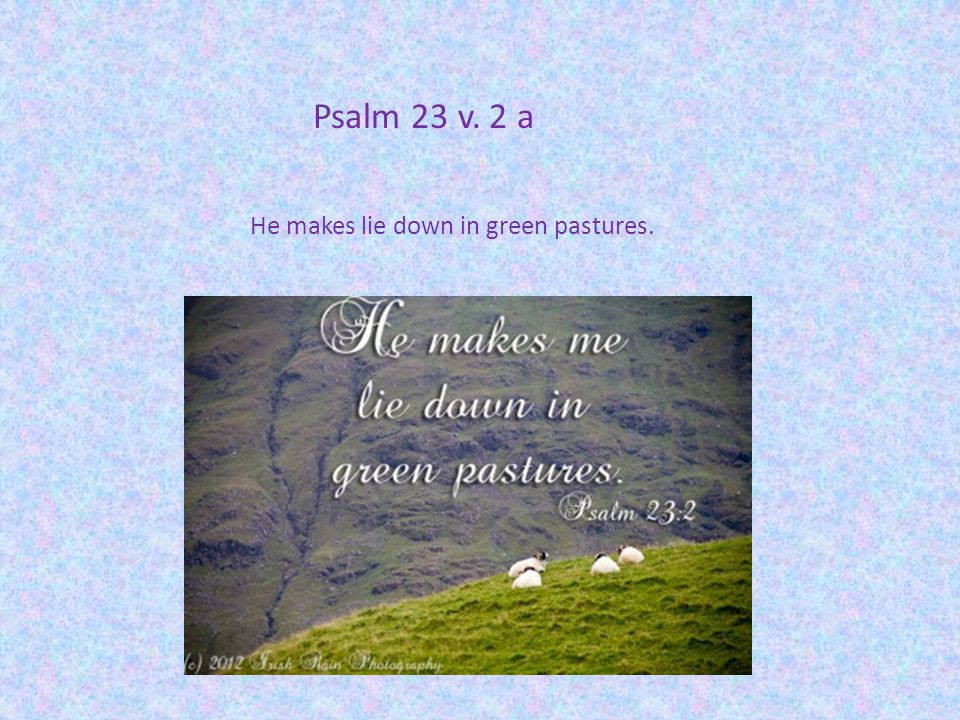 Psalm 23 v. 2 a He makes lie down in green pastures.
