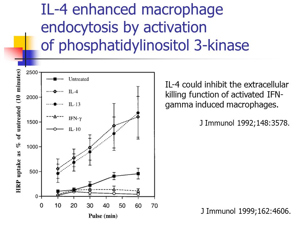 IL-4 enhanced macrophage endocytosis by activation of phosphatidylinositol 3-kinase J Immunol 1999;162:4606.