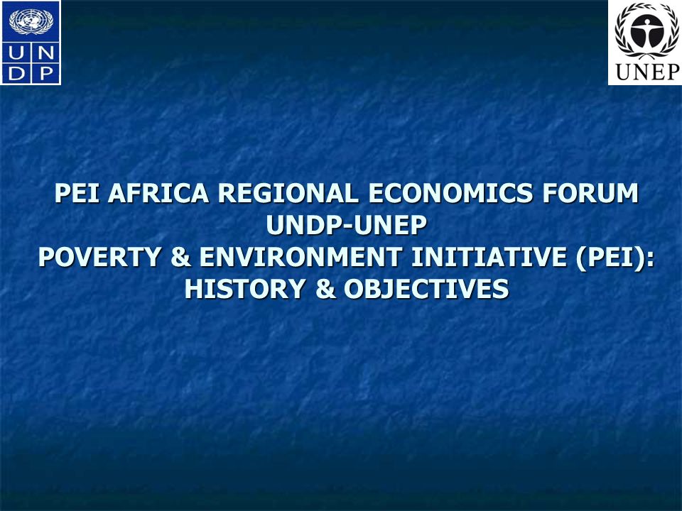 PEI AFRICA REGIONAL ECONOMICS FORUM UNDP-UNEP POVERTY & ENVIRONMENT INITIATIVE (PEI): HISTORY & OBJECTIVES