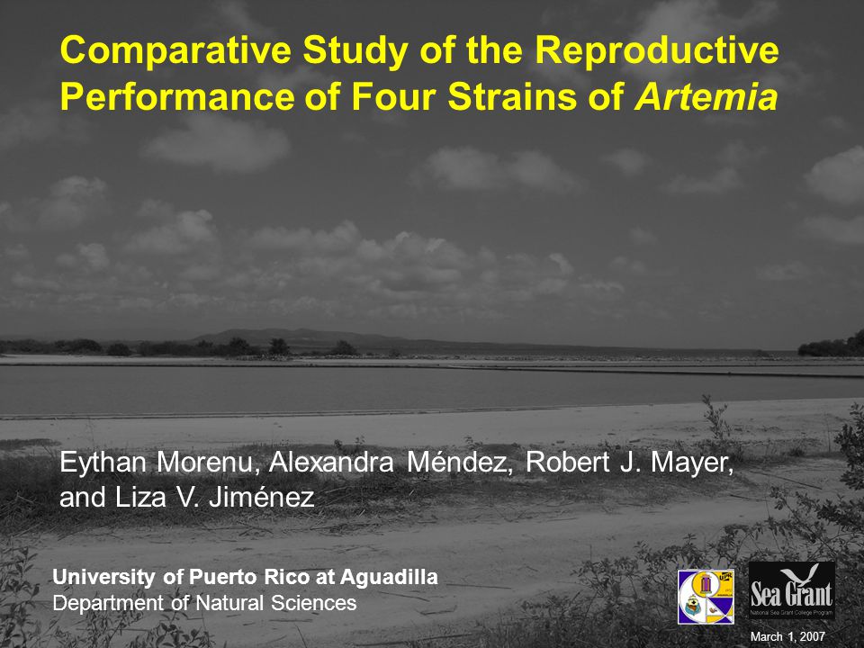 Comparative Study of the Reproductive Performance of Four Strains of Artemia Eythan Morenu, Alexandra Méndez, Robert J.