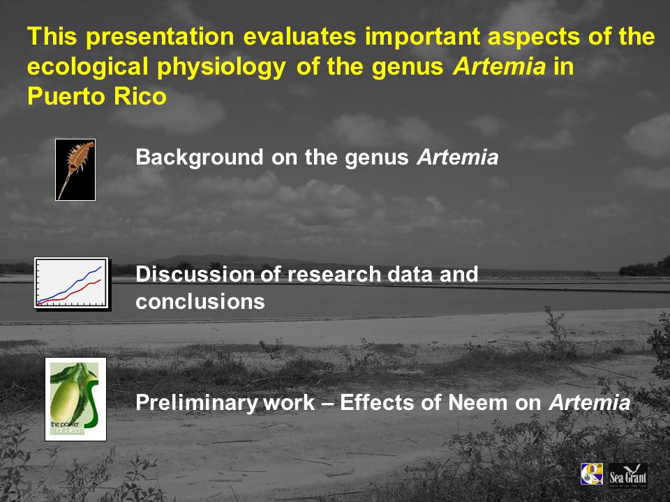 This presentation evaluates important aspects of the ecological physiology of the genus Artemia in Puerto Rico Discussion of research data and conclusions Background on the genus Artemia Preliminary work – Effects of Neem on Artemia