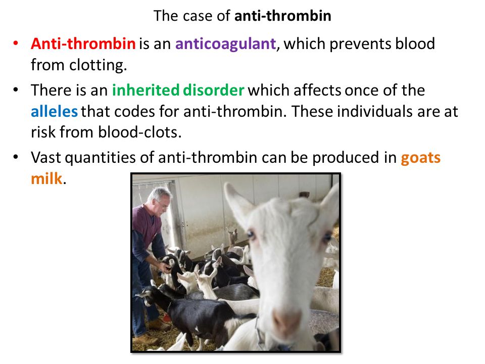The case of anti-thrombin Anti-thrombin is an anticoagulant, which prevents blood from clotting.