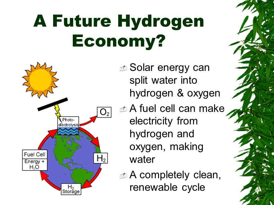 A Future Hydrogen Economy.