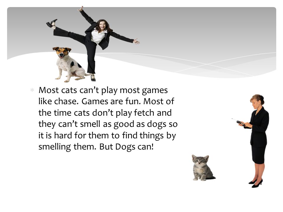  Most cats can’t play most games like chase. Games are fun.
