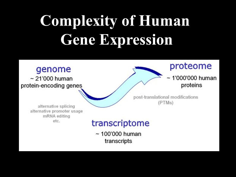 Complexity of Human Gene Expression