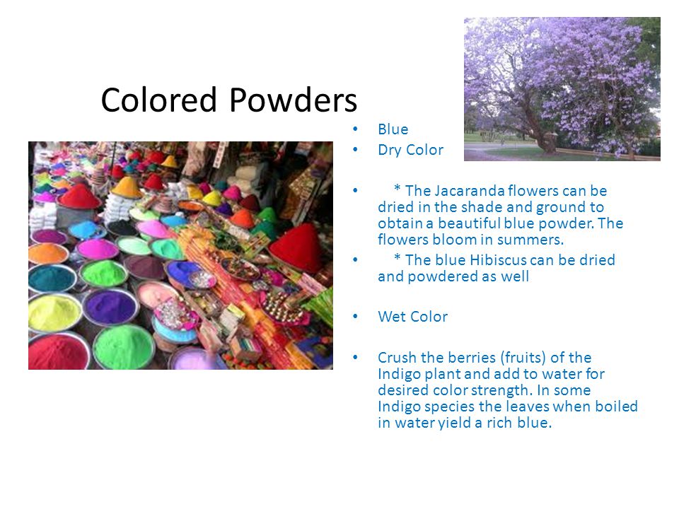 Colored Powders Blue Dry Color * The Jacaranda flowers can be dried in the shade and ground to obtain a beautiful blue powder.