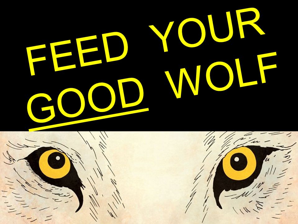 DON’T FEED YOUR EVIL WOLF