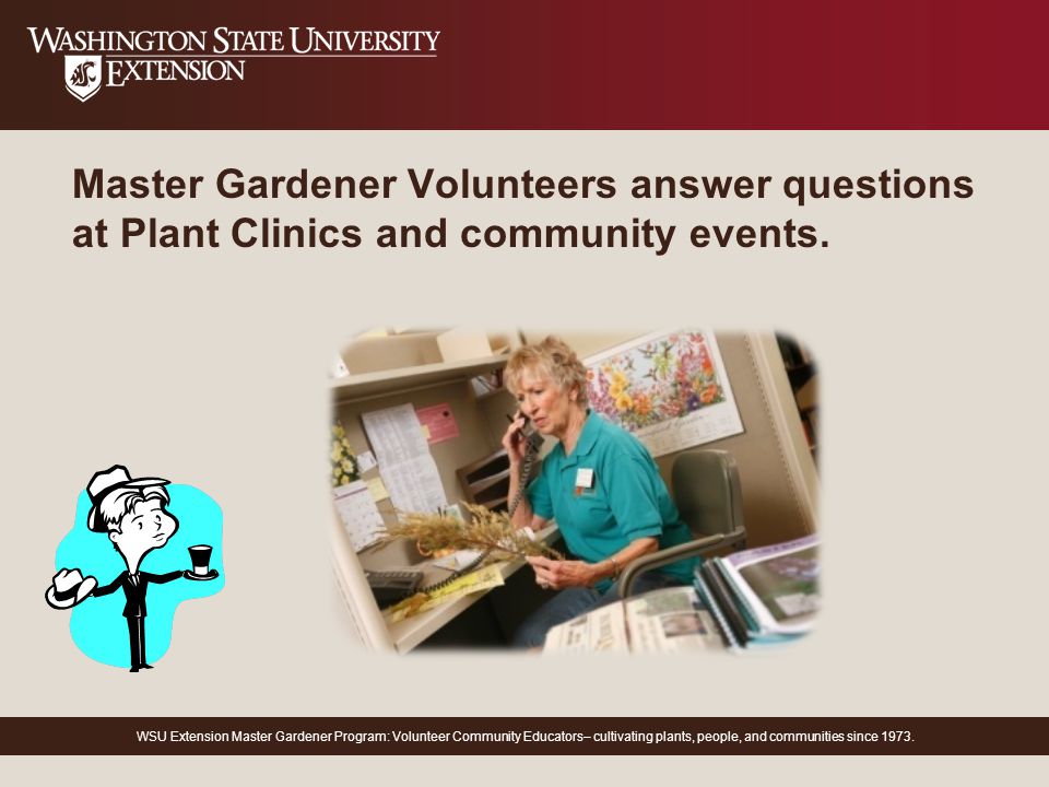 Wsu Extension Master Gardener Program Volunteer Community
