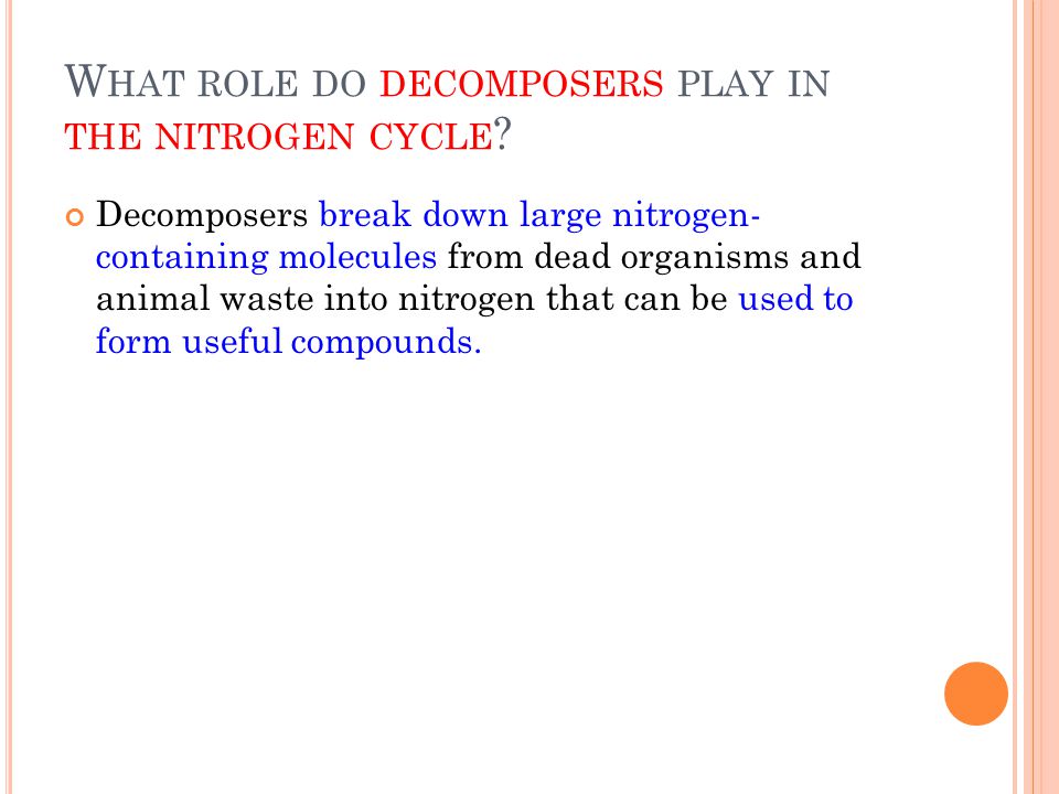 C HECK &amp; R EFLECT Page 190, #s W HAT ROLE DO DECOMPOSERS PLAY IN 