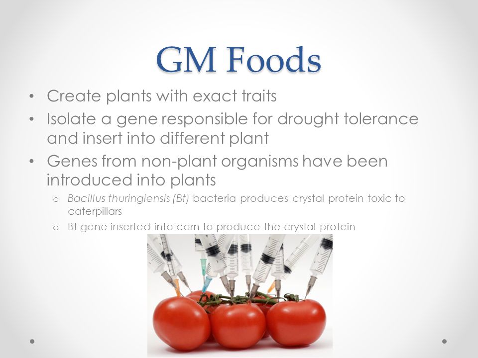 GM Foods Create plants with exact traits Isolate a gene responsible for drought tolerance and insert into different plant Genes from non-plant organisms have been introduced into plants o Bacillus thuringiensis (Bt) bacteria produces crystal protein toxic to caterpillars o Bt gene inserted into corn to produce the crystal protein