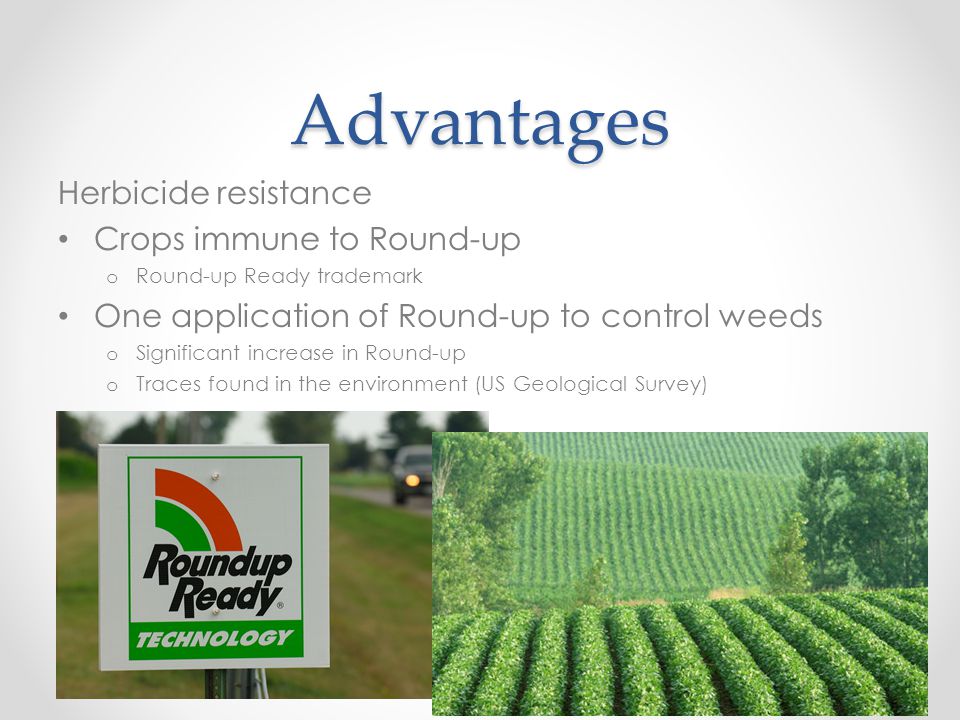 Advantages Herbicide resistance Crops immune to Round-up o Round-up Ready trademark One application of Round-up to control weeds o Significant increase in Round-up o Traces found in the environment (US Geological Survey)